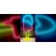 Neon Take Away