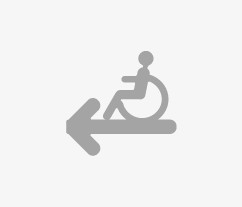 Disabile